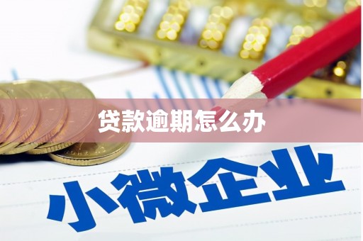 乐至贷款逾期怎么办