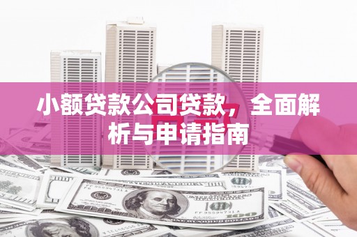 乐至小额贷款公司贷款，全面解析与申请指南