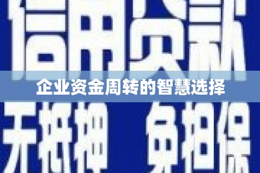 乐至企业资金周转的智慧选择