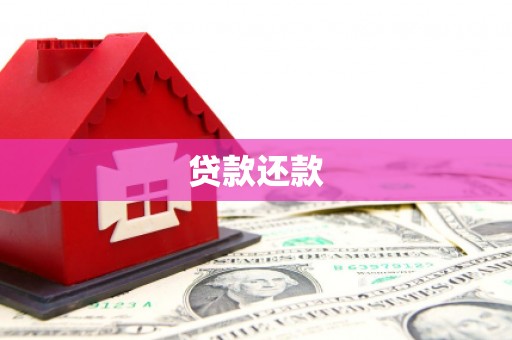 乐至贷款还款