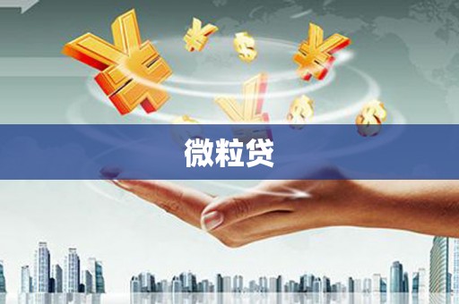 乐至微粒贷