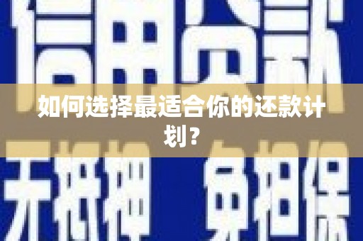 乐至如何选择最适合你的还款计划？