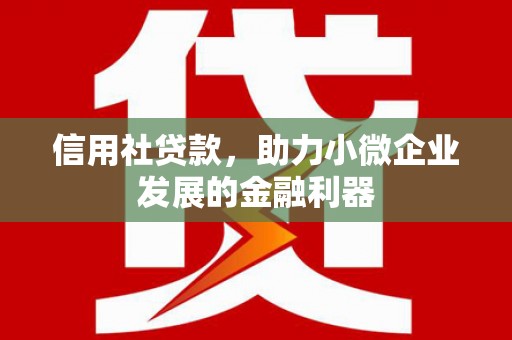 乐至信用社贷款，助力小微企业发展的金融利器
