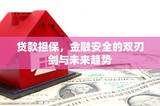 乐至贷款担保，金融安全的双刃剑与未来趋势