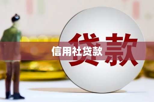 乐至信用社贷款