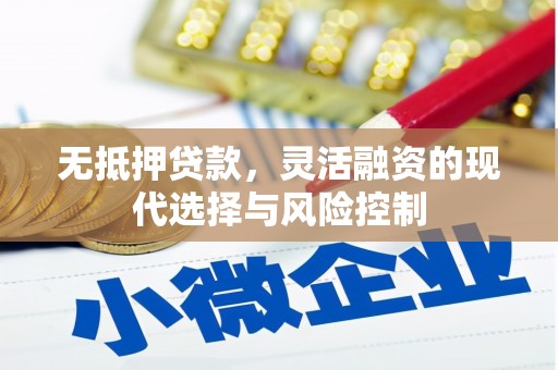 乐至无抵押贷款，灵活融资的现代选择与风险控制