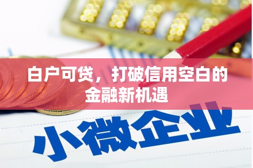 乐至白户可贷，打破信用空白的金融新机遇