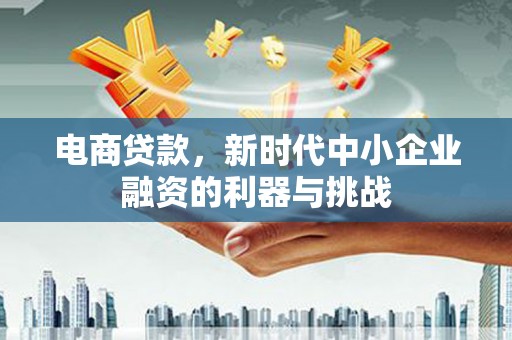乐至电商贷款，新时代中小企业融资的利器与挑战