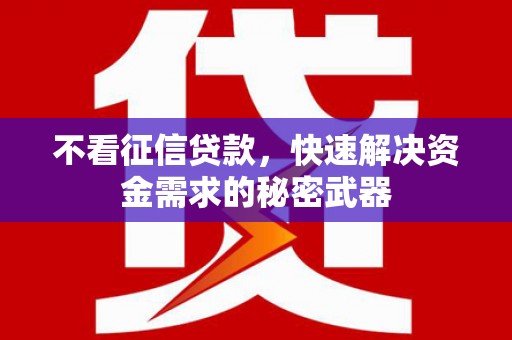 乐至不看征信贷款，快速解决资金需求的秘密武器