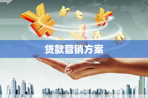 乐至贷款营销方案