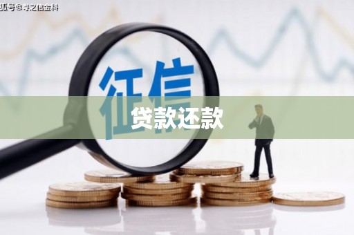 乐至贷款还款