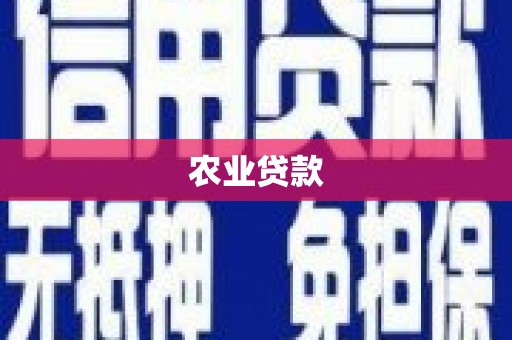 乐至农业贷款