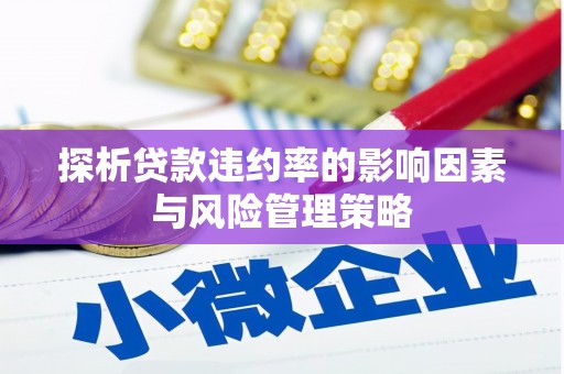乐至探析贷款违约率的影响因素与风险管理策略