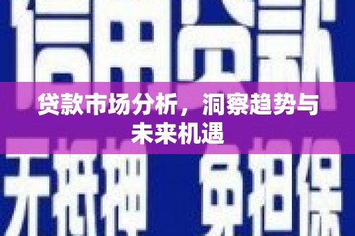 乐至贷款市场分析，洞察趋势与未来机遇