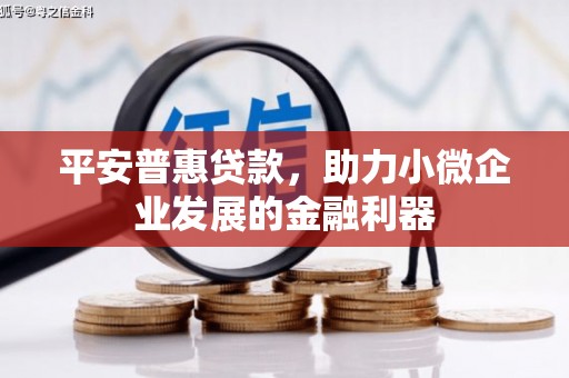 乐至平安普惠贷款，助力小微企业发展的金融利器