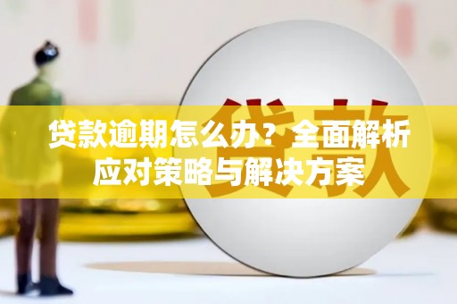 乐至贷款逾期怎么办？全面解析应对策略与解决方案