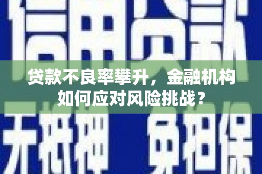 乐至贷款不良率攀升，金融机构如何应对风险挑战？