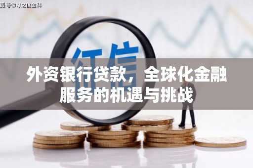 乐至外资银行贷款，全球化金融服务的机遇与挑战