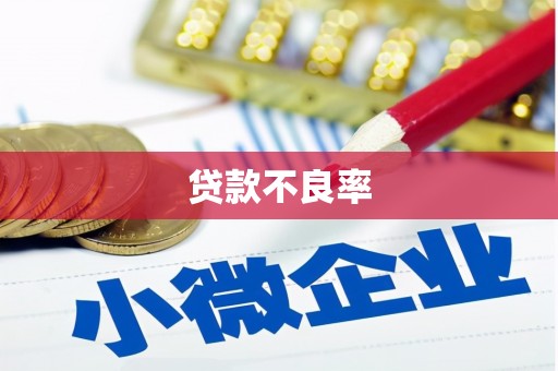 乐至贷款不良率