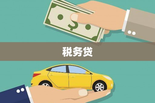 乐至税务贷