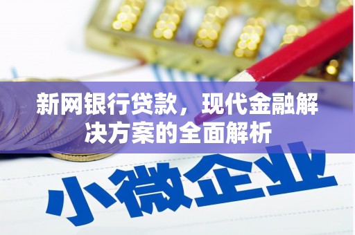 乐至新网银行贷款，现代金融解决方案的全面解析