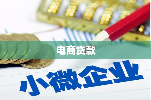 乐至电商贷款