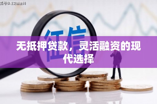 乐至无抵押贷款，灵活融资的现代选择