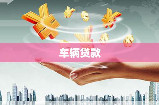乐至车辆贷款