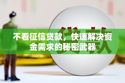 乐至不看征信贷款，快速解决资金需求的秘密武器
