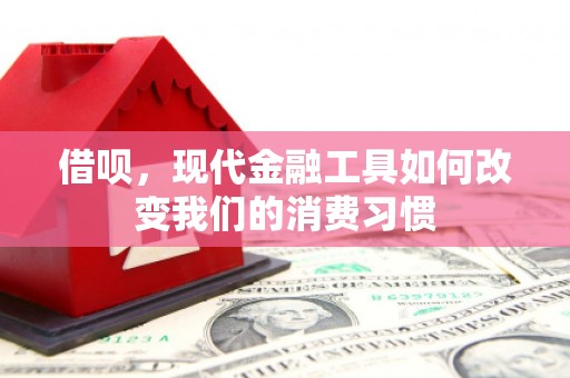 乐至借呗，现代金融工具如何改变我们的消费习惯