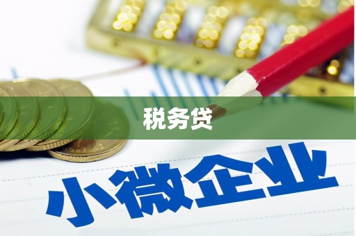 乐至税务贷