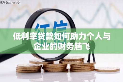 乐至低利率贷款如何助力个人与企业的财务腾飞