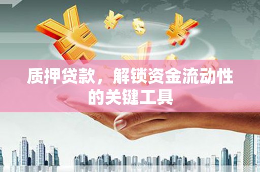 乐至质押贷款，解锁资金流动性的关键工具