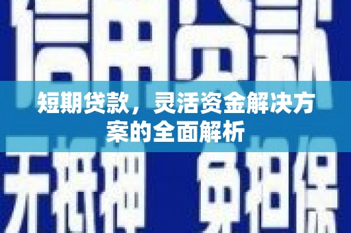 乐至短期贷款，灵活资金解决方案的全面解析