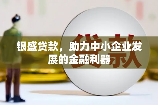 乐至银盛贷款，助力中小企业发展的金融利器