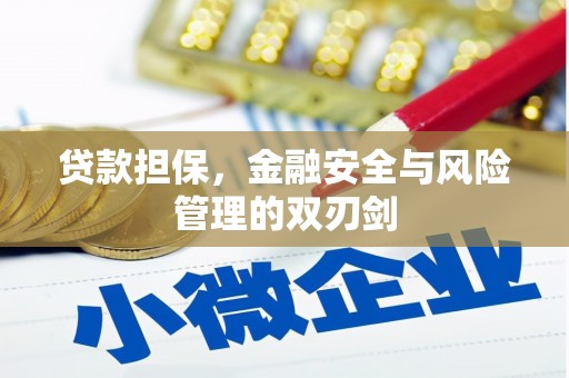 乐至贷款担保，金融安全与风险管理的双刃剑