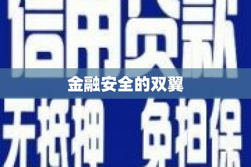 乐至金融安全的双翼