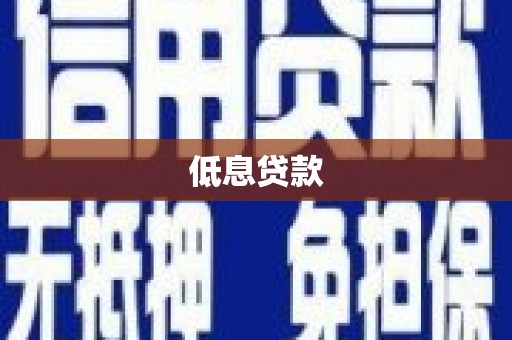 乐至低息贷款