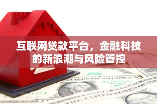 乐至互联网贷款平台，金融科技的新浪潮与风险管控