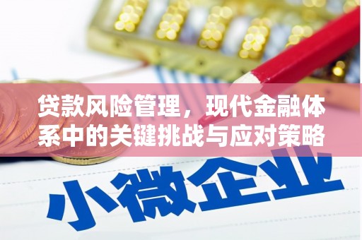 乐至贷款风险管理，现代金融体系中的关键挑战与应对策略