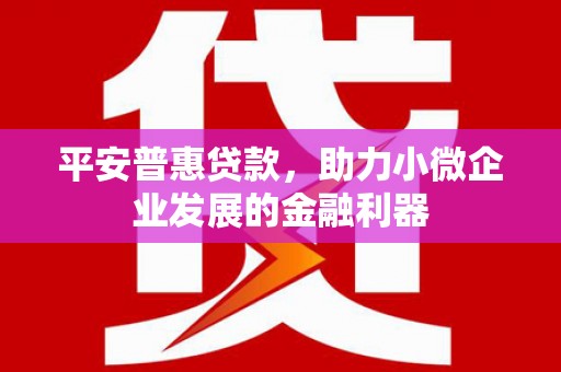乐至平安普惠贷款，助力小微企业发展的金融利器