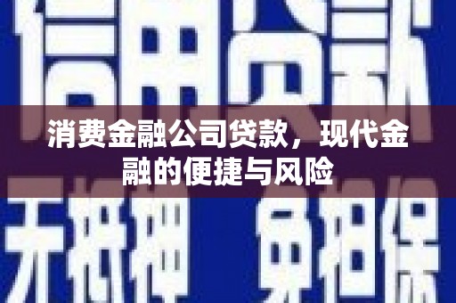 乐至消费金融公司贷款，现代金融的便捷与风险