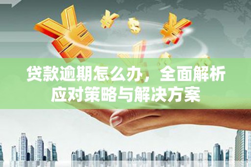 乐至贷款逾期怎么办，全面解析应对策略与解决方案