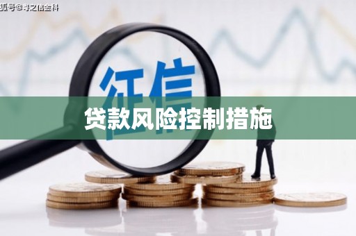 乐至贷款风险控制措施